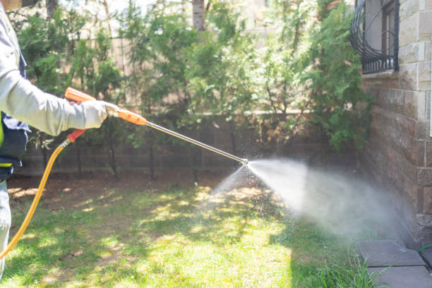 Wildlife Control Services in Jackson Center, OH